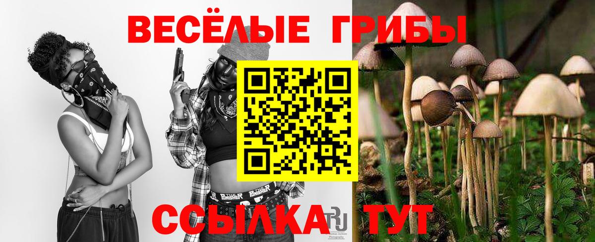купить закладку  Вход с VPN  Красный Сулин  Галлюциногенные грибы Psilocybe 